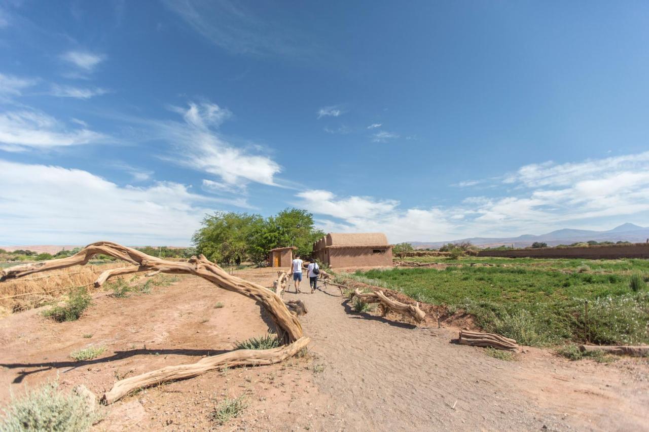 Planeta Atacama Lodge San Pedro de Atacama Kültér fotó